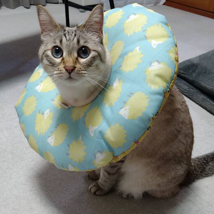 92d488eb abdf 41a0 b969 a4c0315309b1 1650709438140