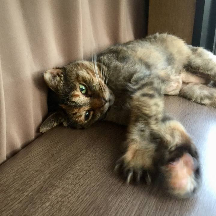 92d49aee e01a 4fe2 85f5 2c1f44704a0e 1597048826443