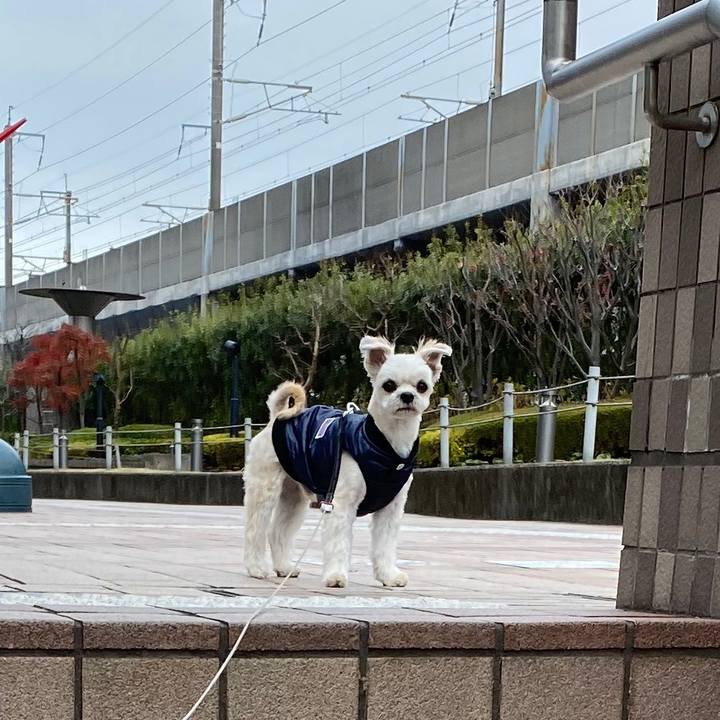 92d49d5a 62b6 45a5 ae37 ac6419dfe982 1576112235282