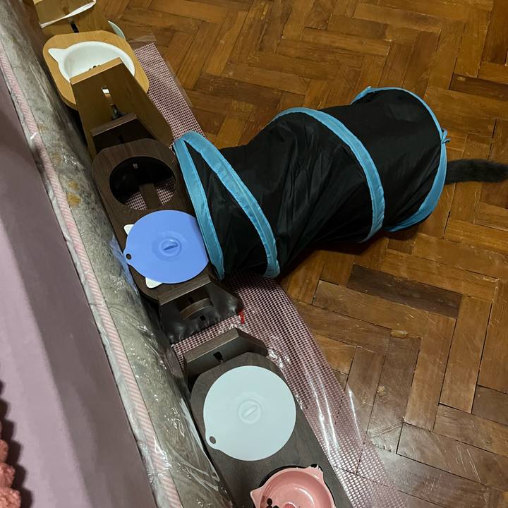 92d49d70 b62f 498f 8684 4f09c06139dc 1765366570162