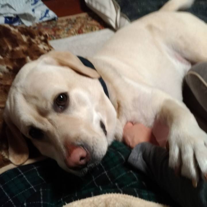 92d4a13e 3417 4c75 a2ed c9e568cf0f0d 1578719412569