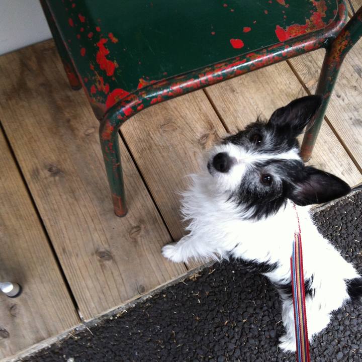 92d4a31f d22d 45f4 b66e 3ca2bf0f9ae4 1615123627164