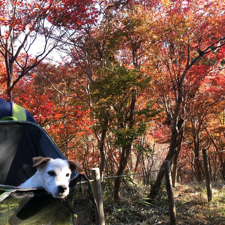 92d4a9c3 8156 4edf a4b1 5aaeb0e38ae5 1637399510813