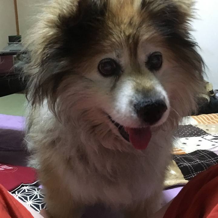 92d4b3f9 3295 4b89 940f 5159fa6a2535 1592783206450