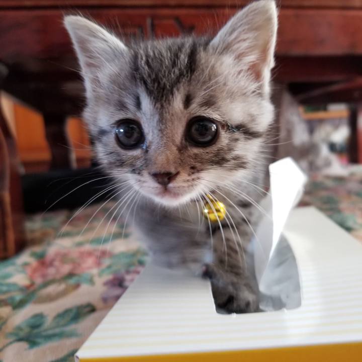 92d4bd53 db4f 423f 805c d661baf9053a 1661302628009