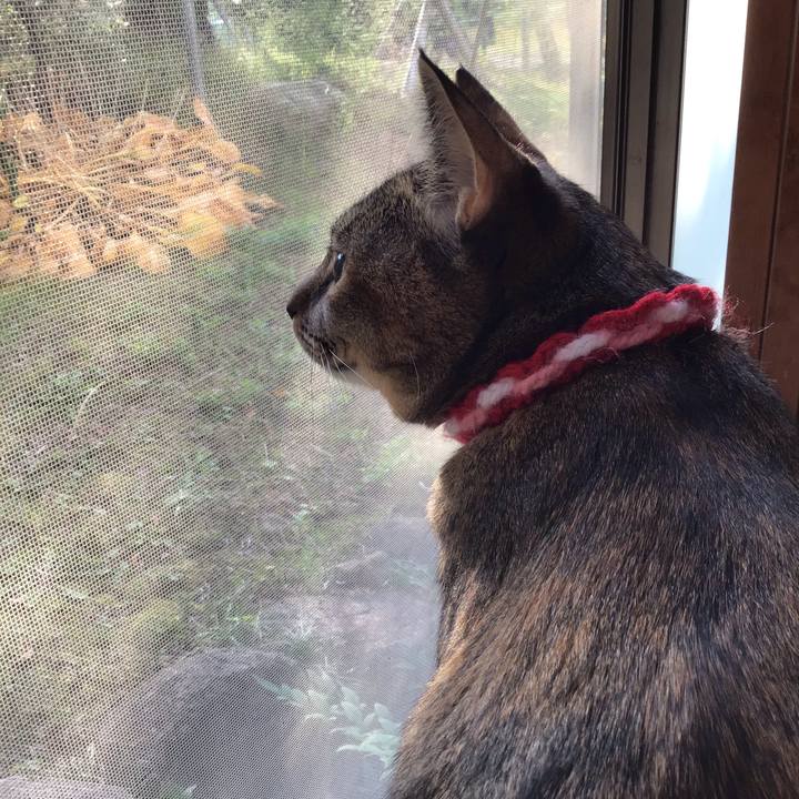 92d4e854 822c 470e 8c14 29feb178c6c0 1605654597720