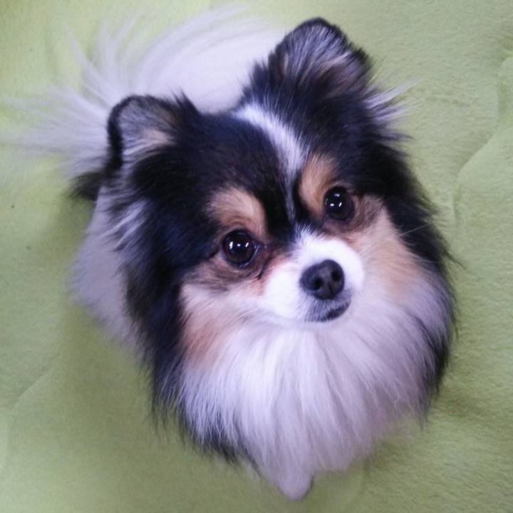 92d4f859 a4ac 48ef 83f0 23e11da2a6f3 1521590494876