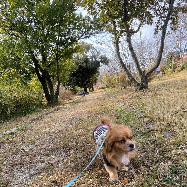 92d4ff72 14af 4548 9da2 0030045e7658 1608341565923