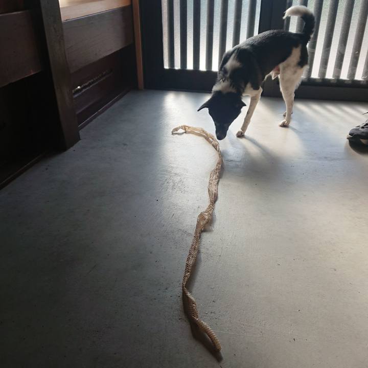 92d51930 bde7 4c11 9c87 7f917ea462a7 1623197011437