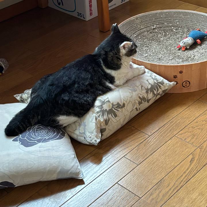 92d52321 3eec 4043 82dc 7452e8755625 1746865857485