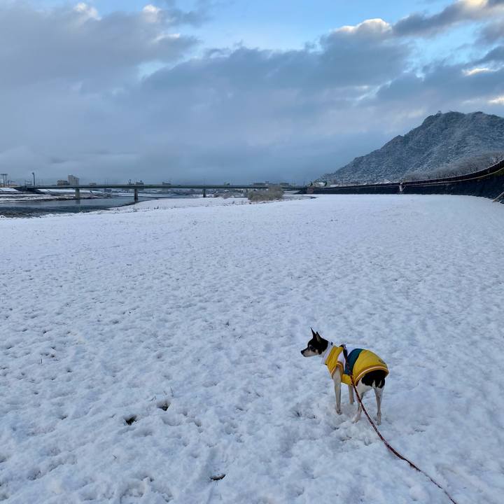 92d52454 2ac0 40ce 8fa7 ff4ddd26bc15 1609464385102