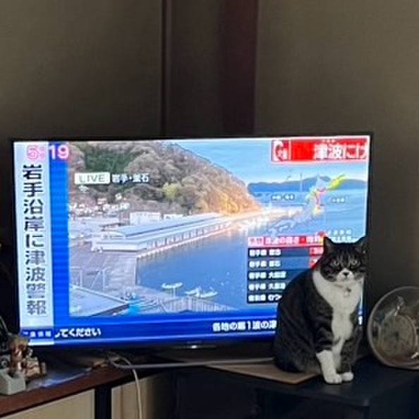 92d53b74 627e 463f 8946 455975f4c663 1776984675086