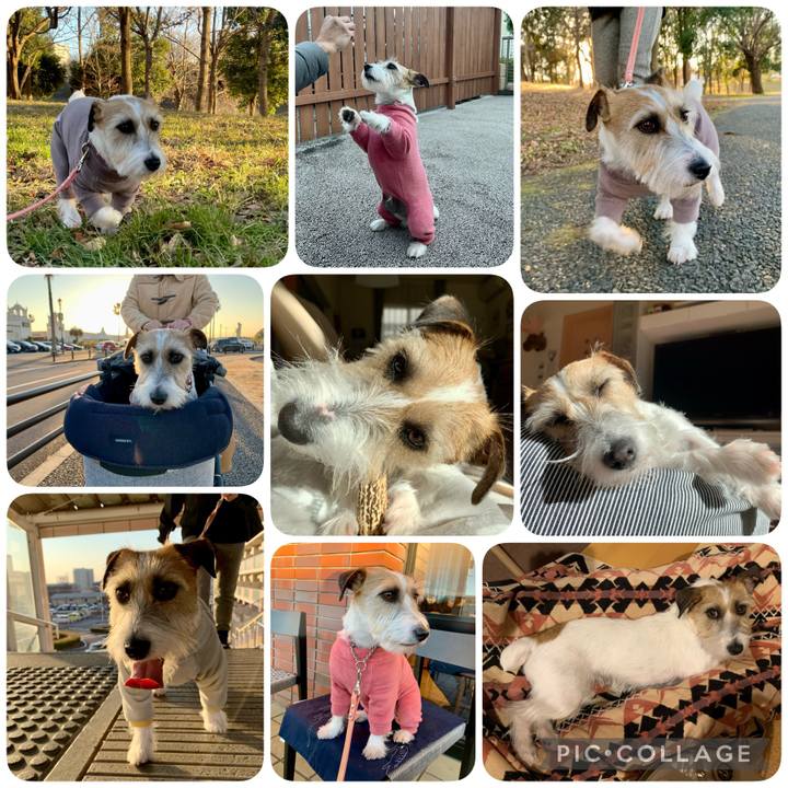 92d542de 02d3 4b19 ad8c 55e7802c889f 1644133094320