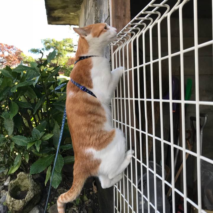 92d54e3f aabf 430e ac30 b1c35c8ca383 1509323466384