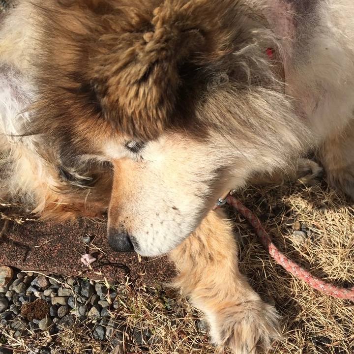 92d594f3 8dd6 4ca8 9aba f4268f12171d 1641644834671