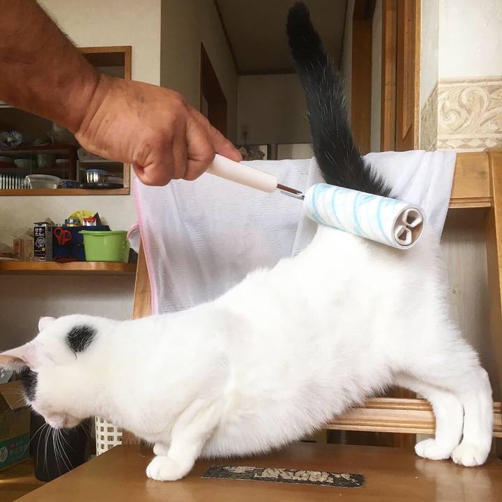 92d63920 6dde 45f5 aa4f 736fbe4dfc8f 1542081547863