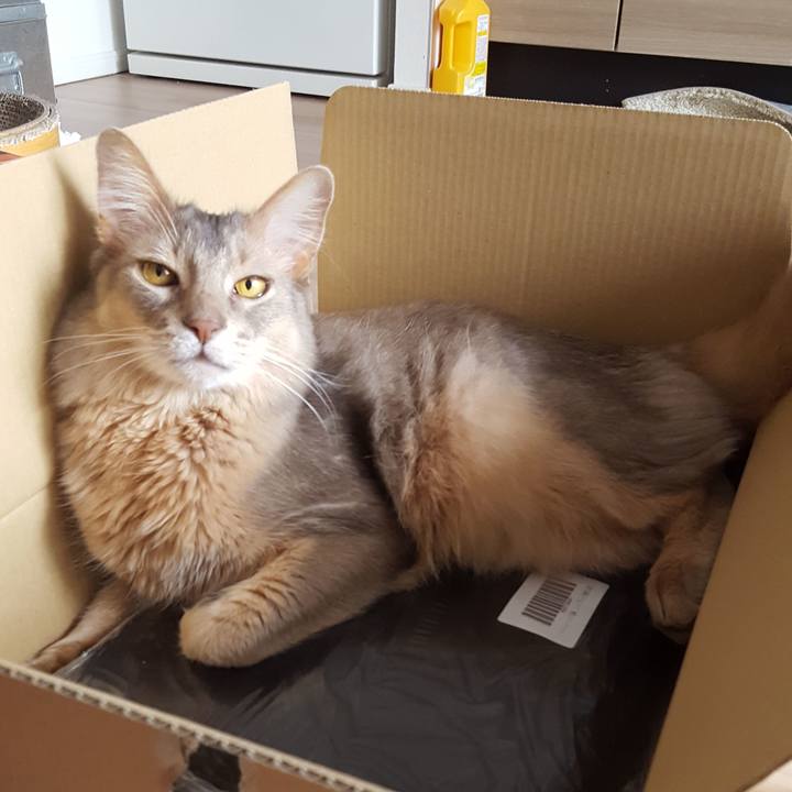 92d660de ef34 4206 9af0 920bd46bfa4f 1586848928607