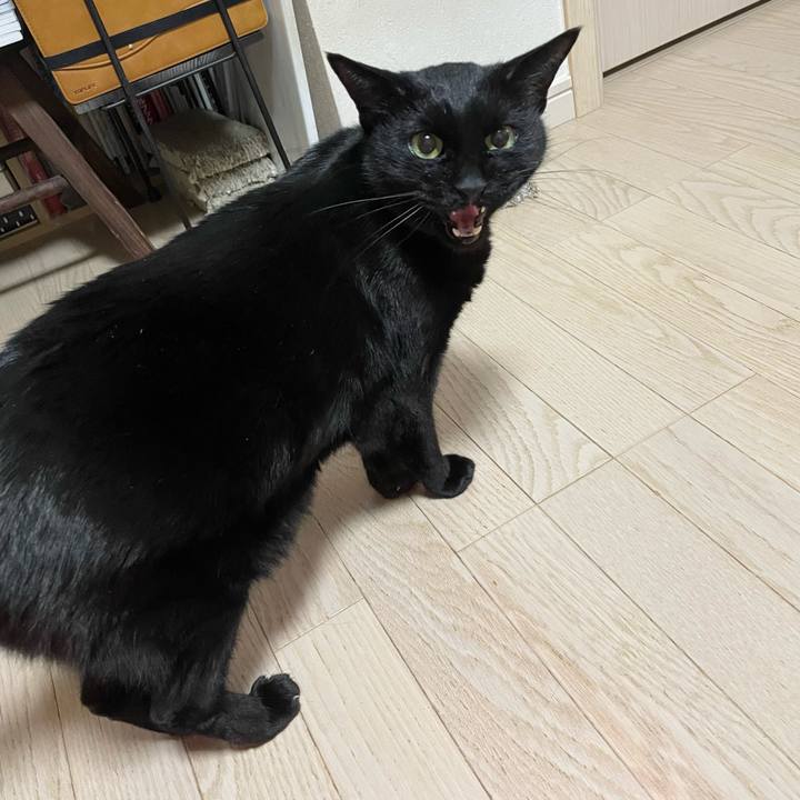 92d68678 b902 4a04 b4ed 3020427ee077 1769429477589