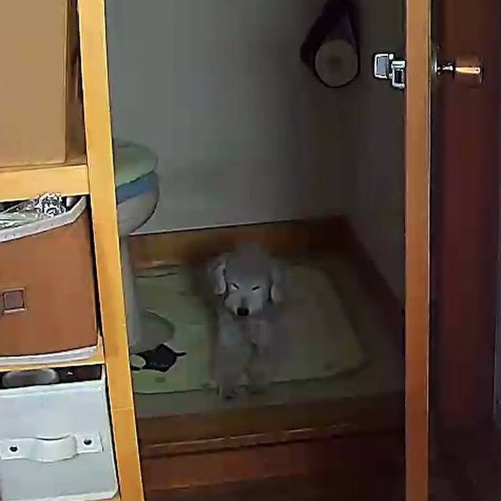 92d68fc5 d65a 4789 b400 3d574b57fad0 1627949512441