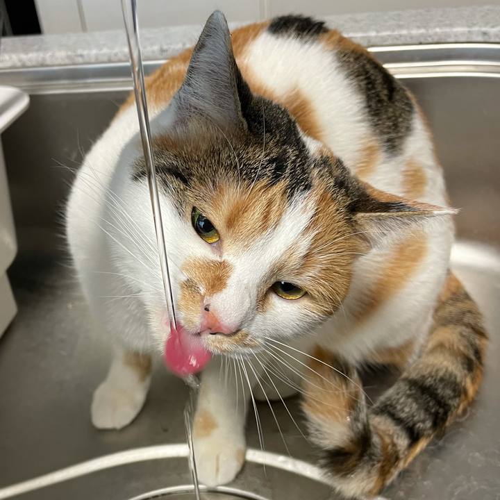 92d6996b be8c 49f6 9e68 efa94a6f9c7b 1610494409185