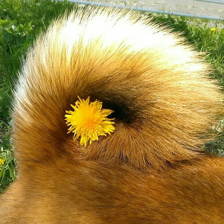 92d6d458 14e3 47ca 9752 10e3fc92d1fd 1522505235573