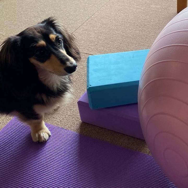 92d6e03b 4cb0 43d4 9280 54e6e95b0f46 1685849540335