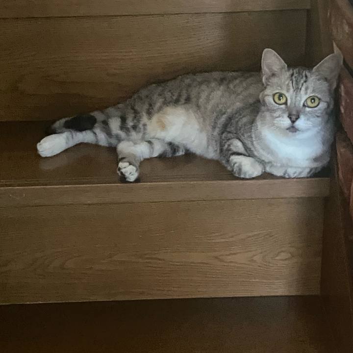 92d71276 a553 4e97 b3e5 13cb6d715cbf 1722680339411