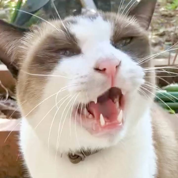 92d71862 e12b 4e73 a685 55dbf95de445 1730689923127