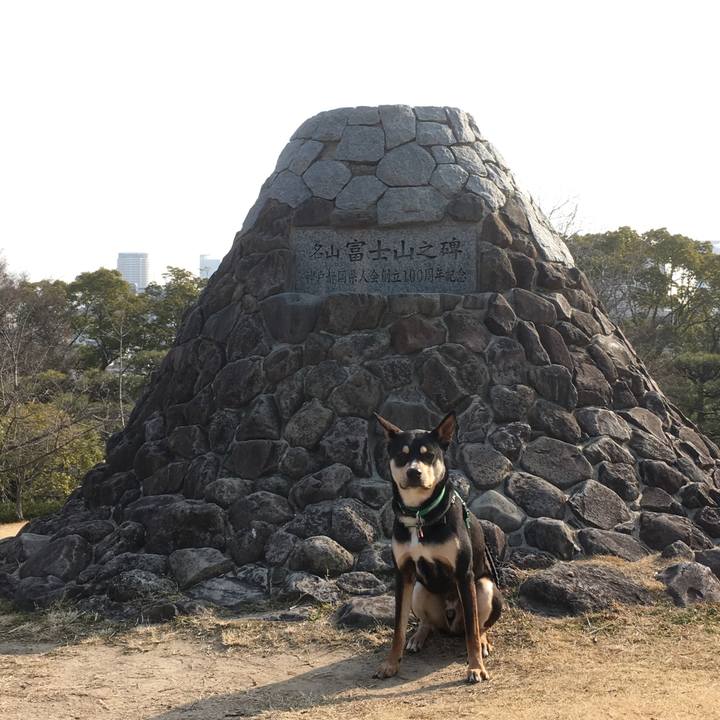 92d71f85 bd92 4ac4 844b 111636eb351c 1519437014129