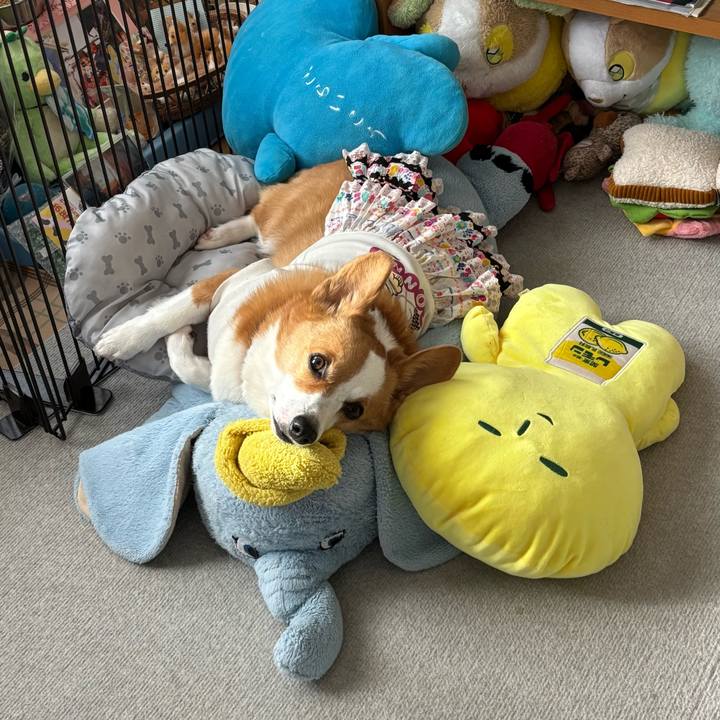 92d738b0 2fff 4141 98af 5890ba1ec157 1759915539904