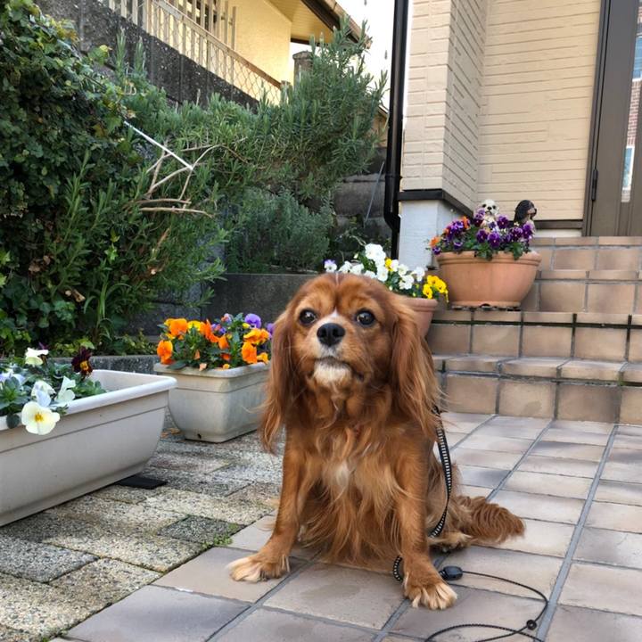 92d74cf2 d9a8 4186 9a40 5a8eef0a25d0 1584311229829