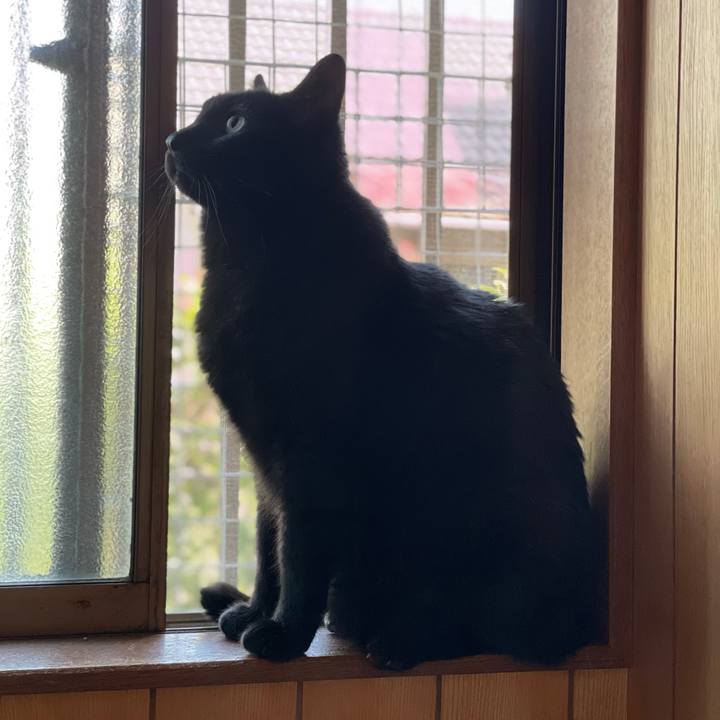 92d75e1c 02cc 4d5e 9371 e77d10c7c1a8 1618711791544