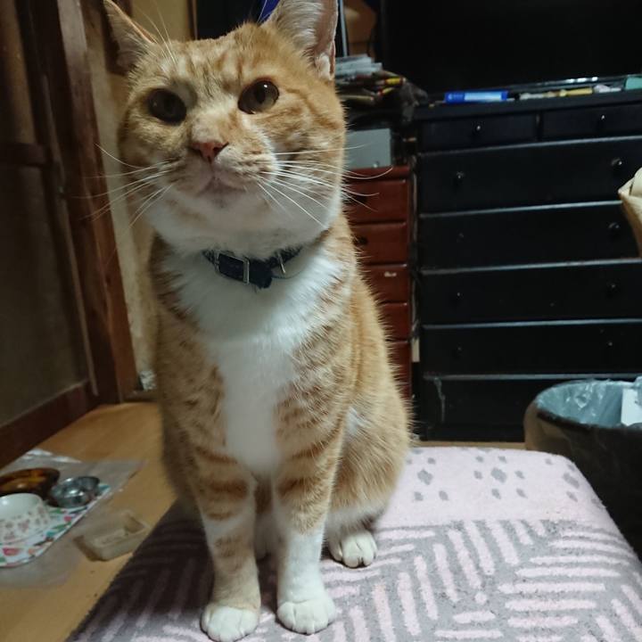 92d76ac5 ed11 4277 87cf 5d040ff8dc11 1606764940506