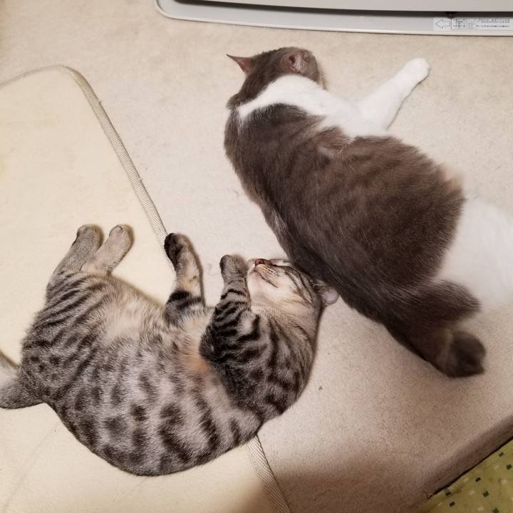 92d78528 749c 4d8a 9a0f f64bb4b6f2ef 1673768654672