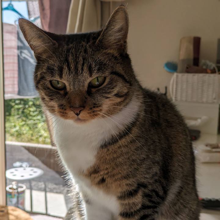 92d78ef2 3d48 4fb2 9095 d86788134679 1697416958878