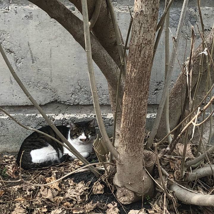 92d79547 1f3e 4d4e b7e9 f05f3cd85907 1519822335439