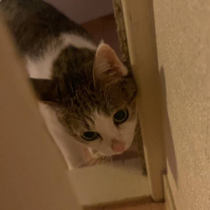 92d7ae7c 9e74 410e 9bfe a875d622a7fd 1630567654272