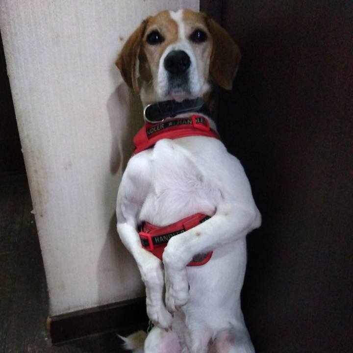 92d7bf17 8be1 497e 954e fba63f5e9e61 1705735576778