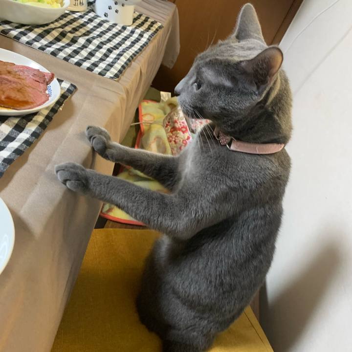 92d7e46c bae9 4f9a aeae 20d26b5786c4 1579871710157