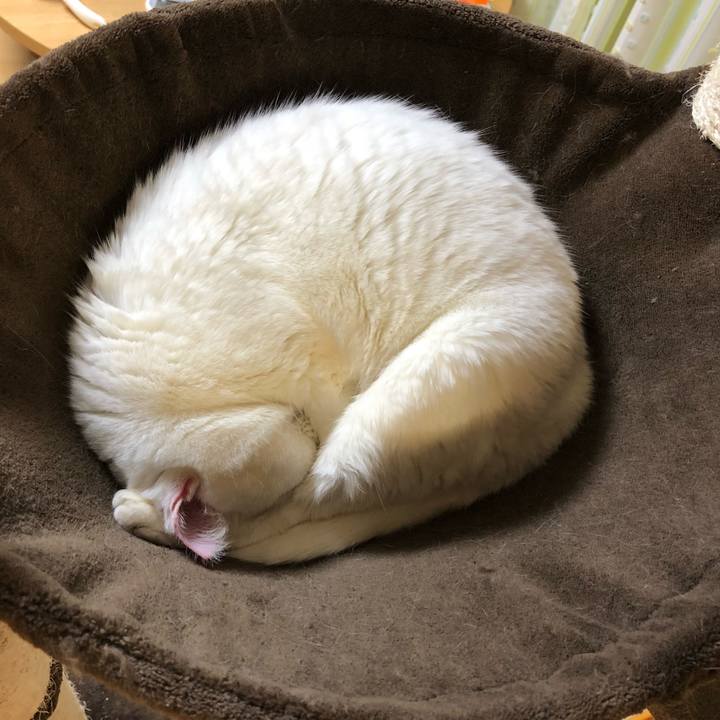 92d810c4 9b00 41d0 8ac7 e7365caad15d 1526441798674