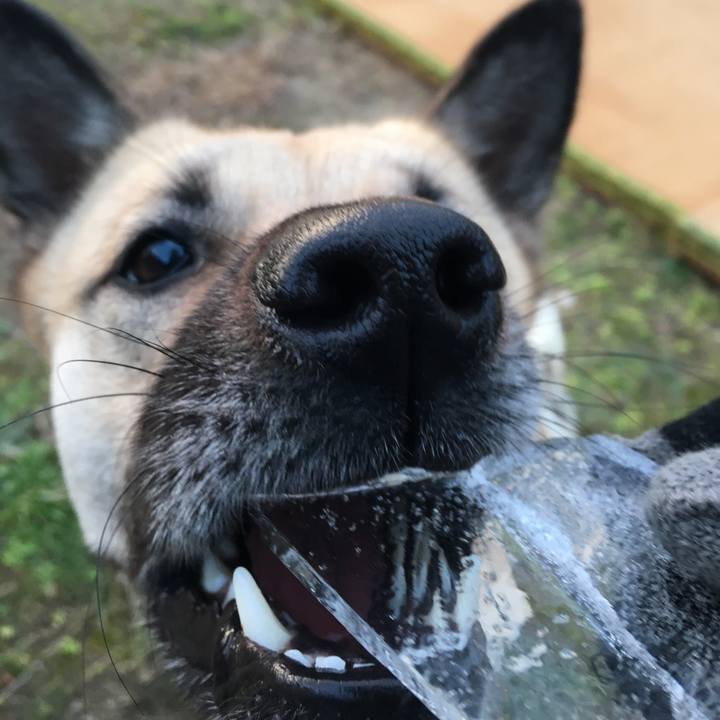 92d81b16 c89b 4579 9873 3c25ced53fe9 1514291423489