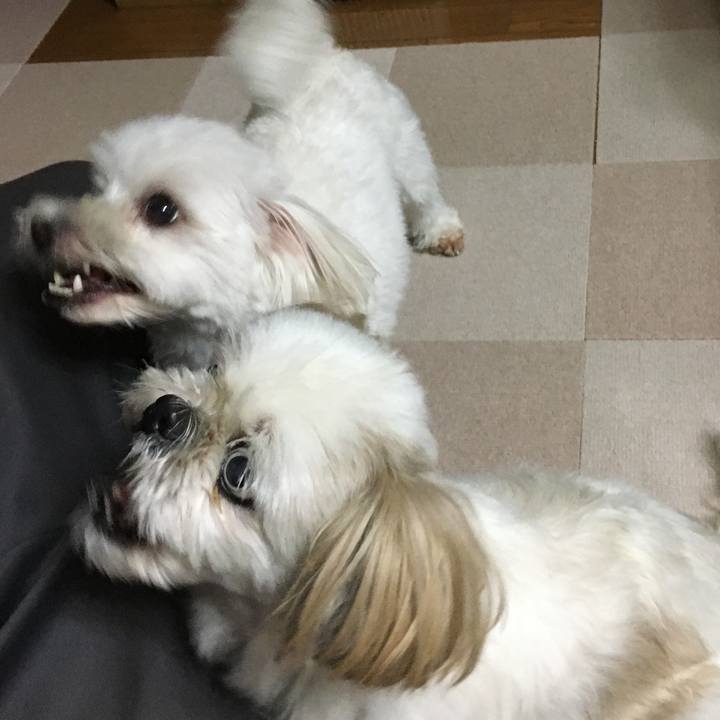 92d8548d 15d9 4f6c b867 0f1e919521a8 1599220798336