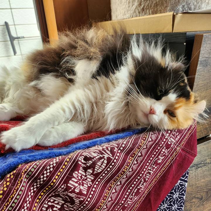 92d877e7 3472 4da2 9cd9 6df6478398a4 1714707420199