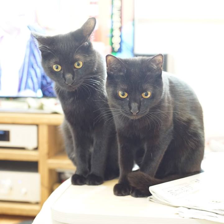 92d895e7 648a 4105 aec8 656f56cdb4e8 1518260410963