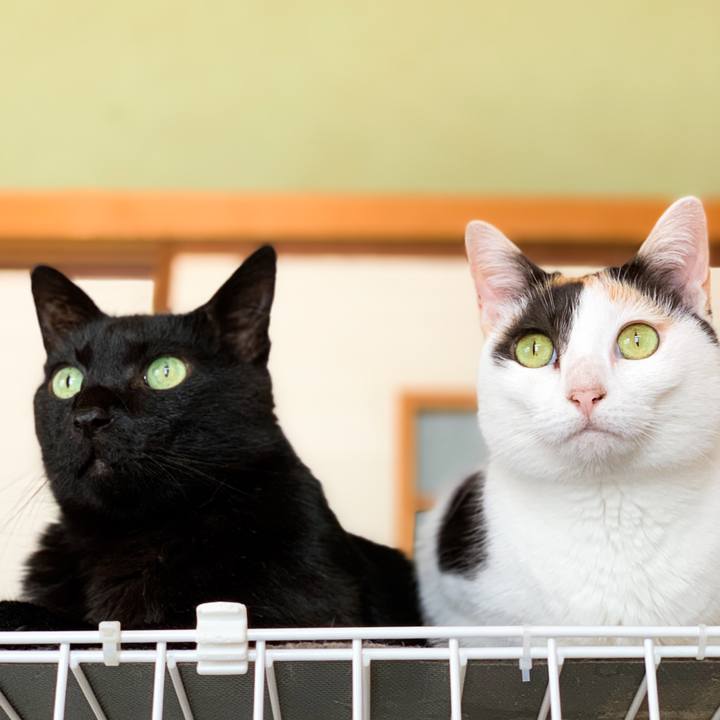 92d8b724 aa67 4405 96da e627448dddbc 1600568930692