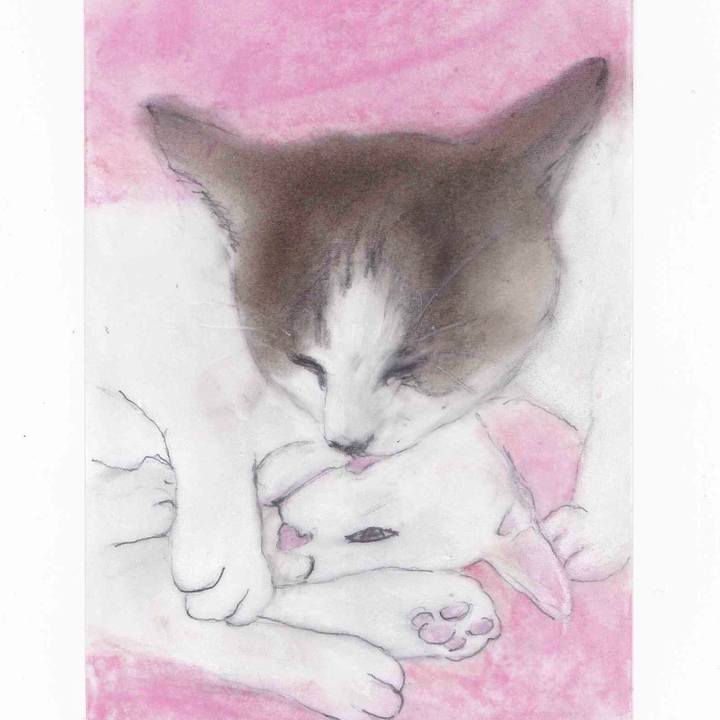 92d8c29e 3417 4a0c aa86 5feacc1caa35 1579556272231