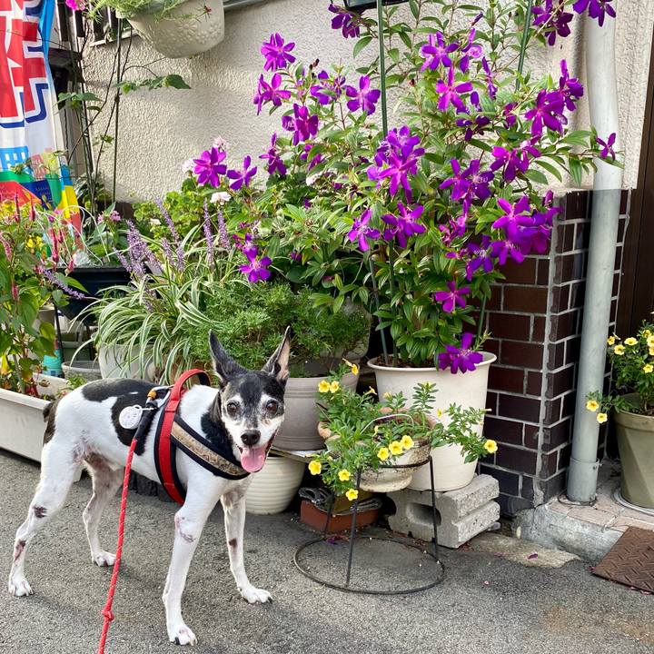 92d92b89 b1a0 447c 91b3 d08231c09831 1632044081759