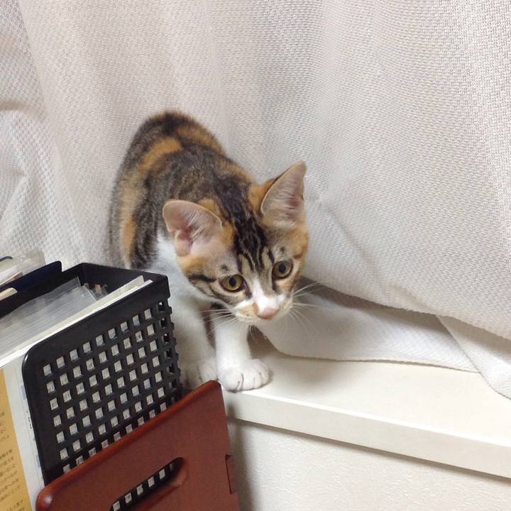 92d95d55 6b2e 4e8f 9e68 8368303c6260 1629321130645