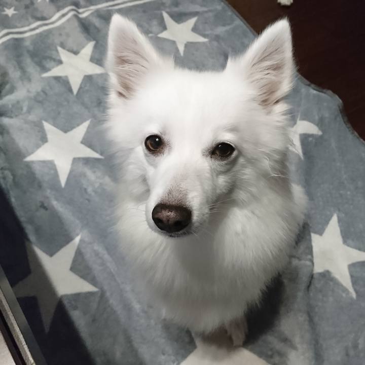 92d98848 c115 4f44 81c4 d4fa7ce3c5c1 1581586845695