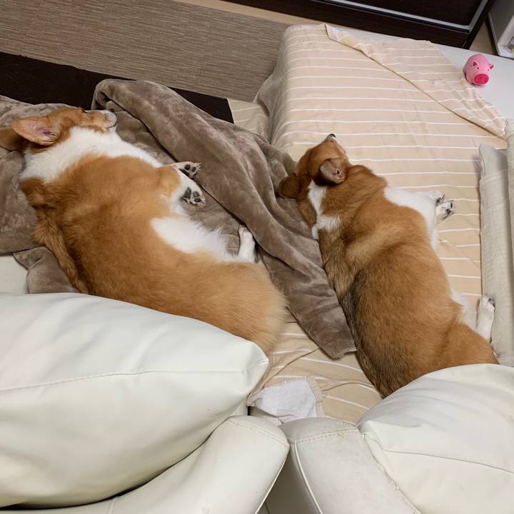 92d9b843 8d05 4cf7 9731 175533720ae9 1572766105279